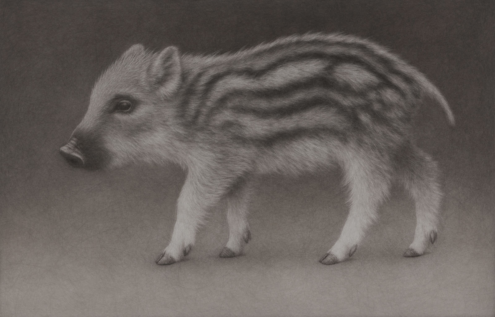 Lee Andre, Wild Boar Piglet, 2024