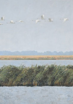 Ron Kingswood, The Voyage