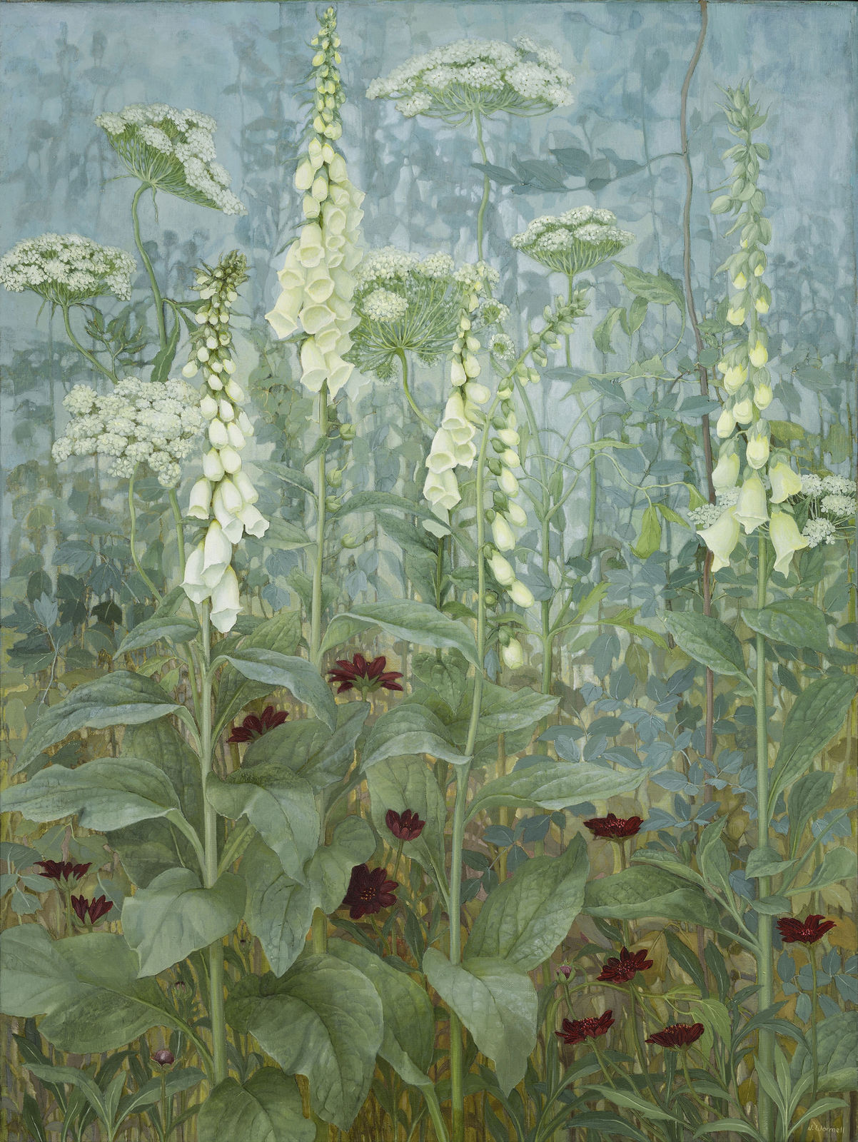 Jane Wormell, Foxgloves, Ammi, Chocolate Cosmos, 2020