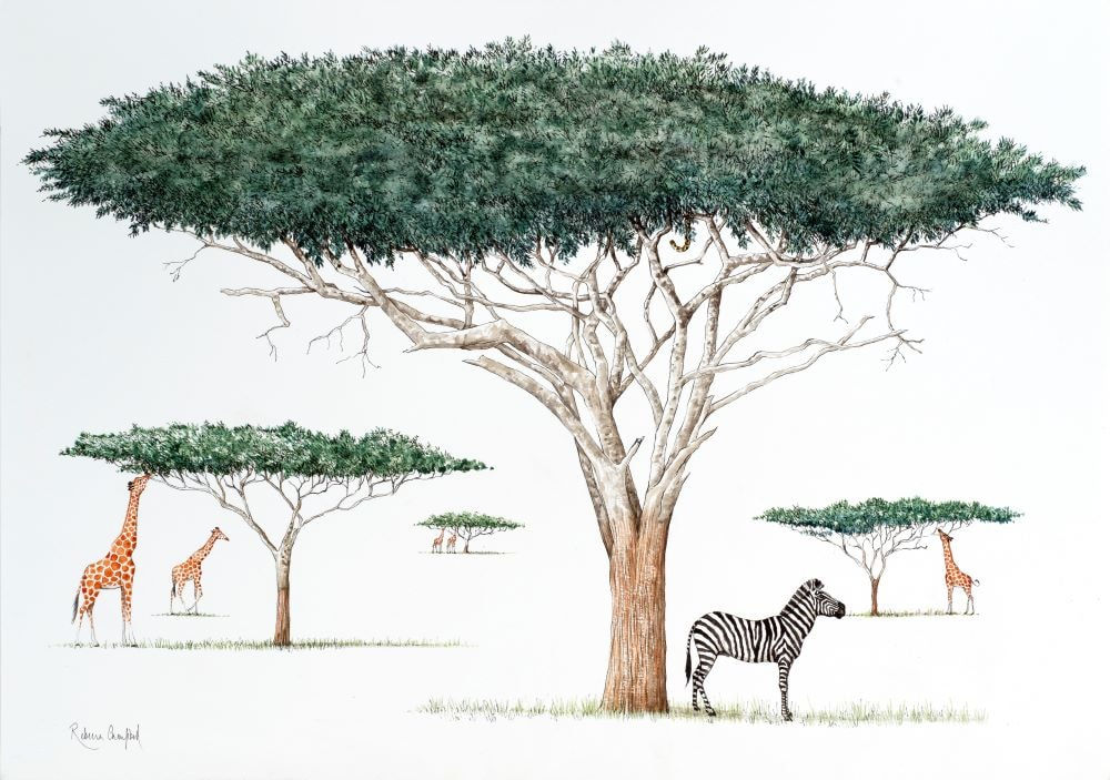 Rebecca Campbell, Acacia Ambush…, 2025