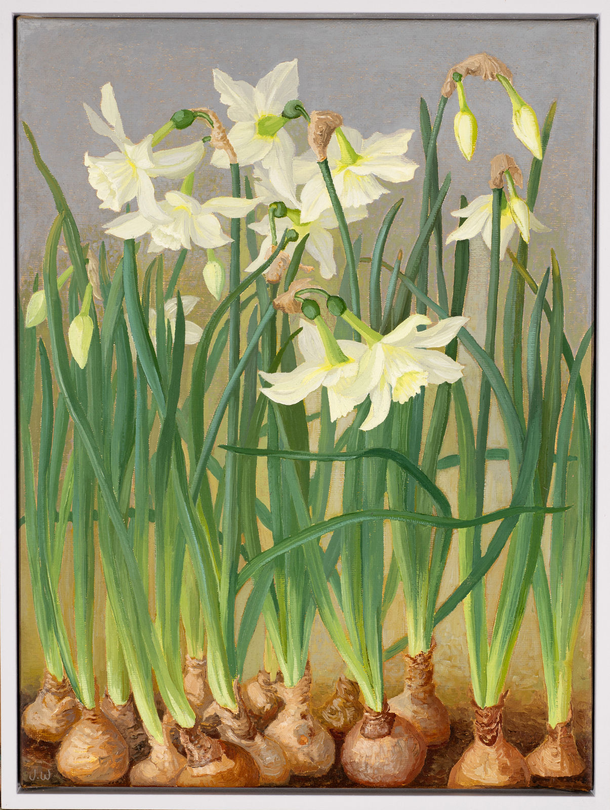 Jane Wormell, Narcissi
