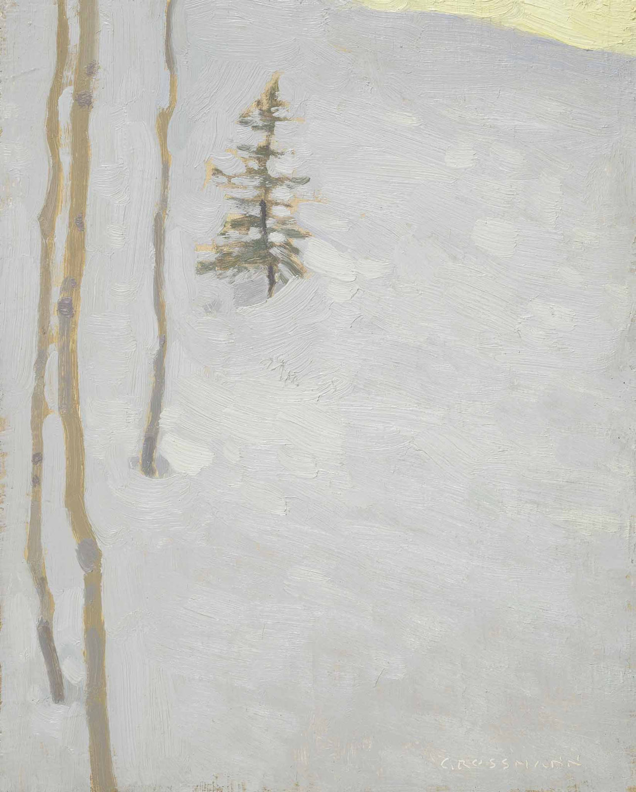 David Grossmann, Forest Snowbank
