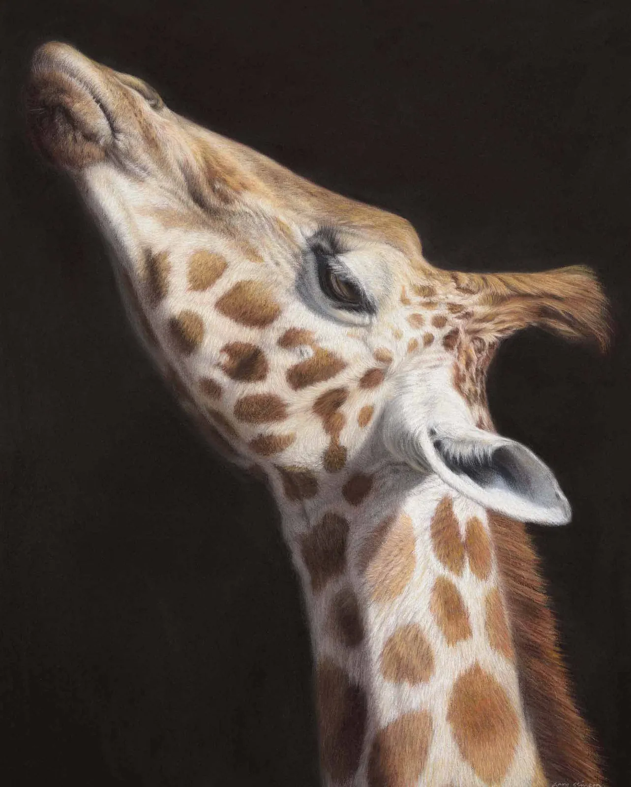 Gary Stinton, Rothschild's Calf - Large as Life IV