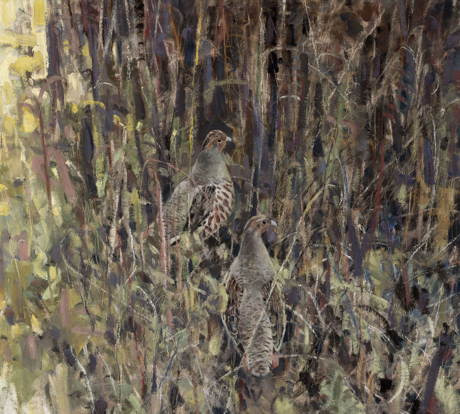 Ron Kingswood, Hungarians