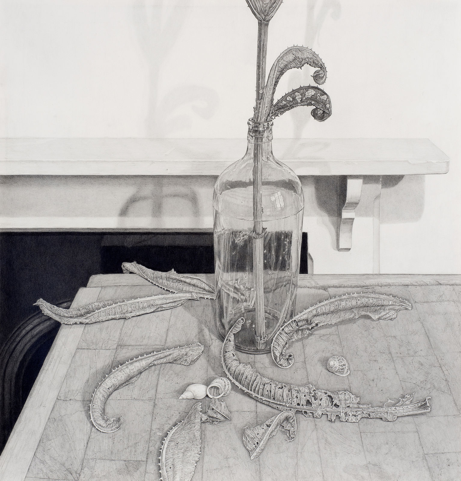 Edmund Chamberlain, Still life with teasel and shells