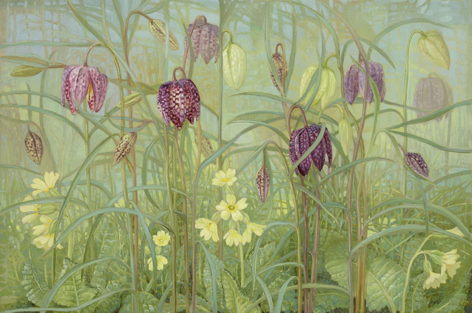 Jane Wormell, Fritillaries and Primulas