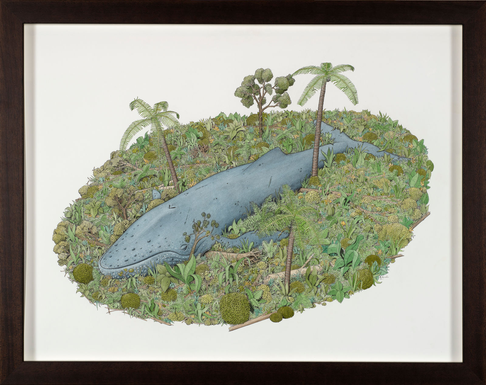 Angus Fisher, Marajó, 2021