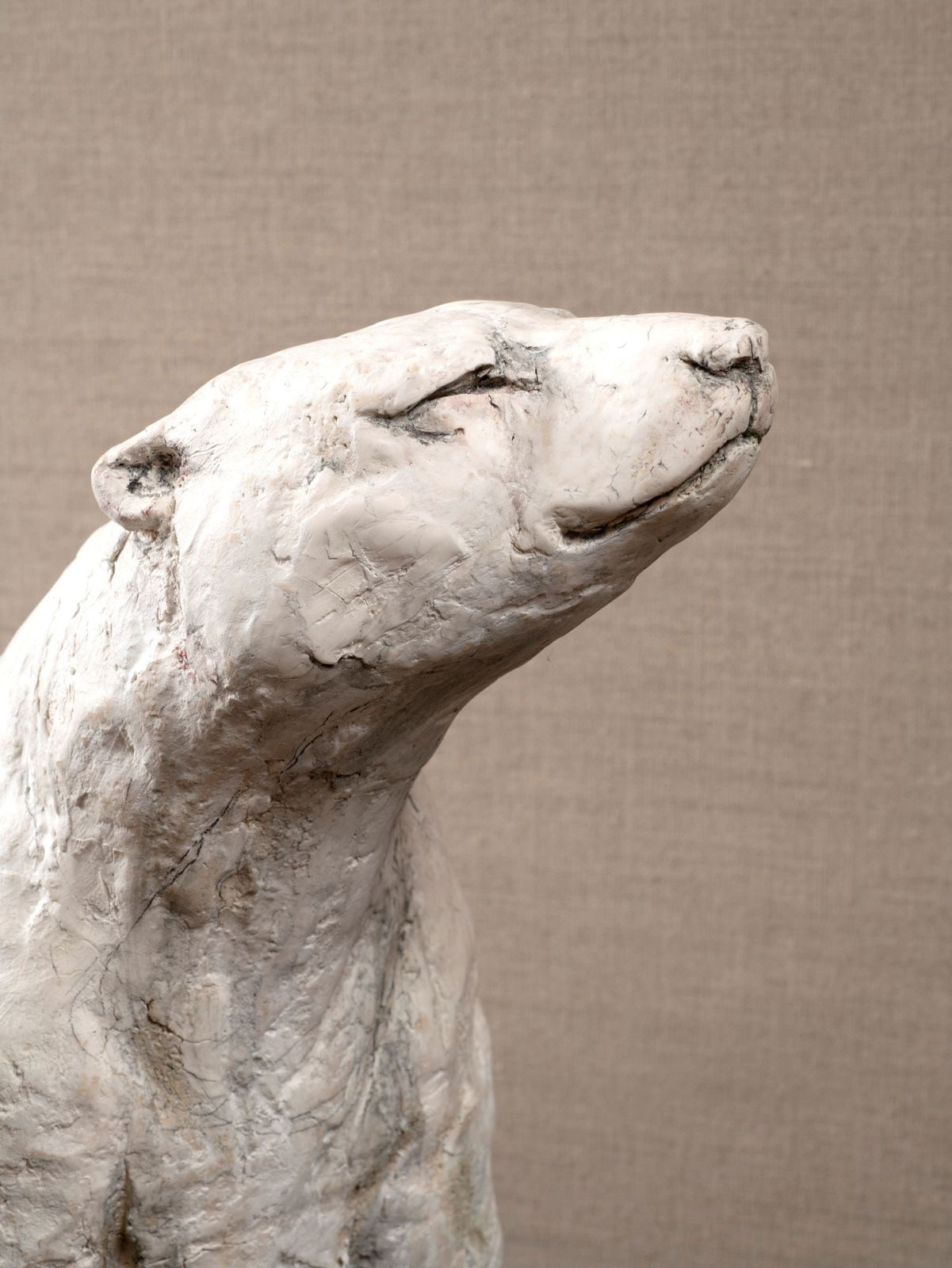 Tanya Brett, Polar Bear 1, 2024