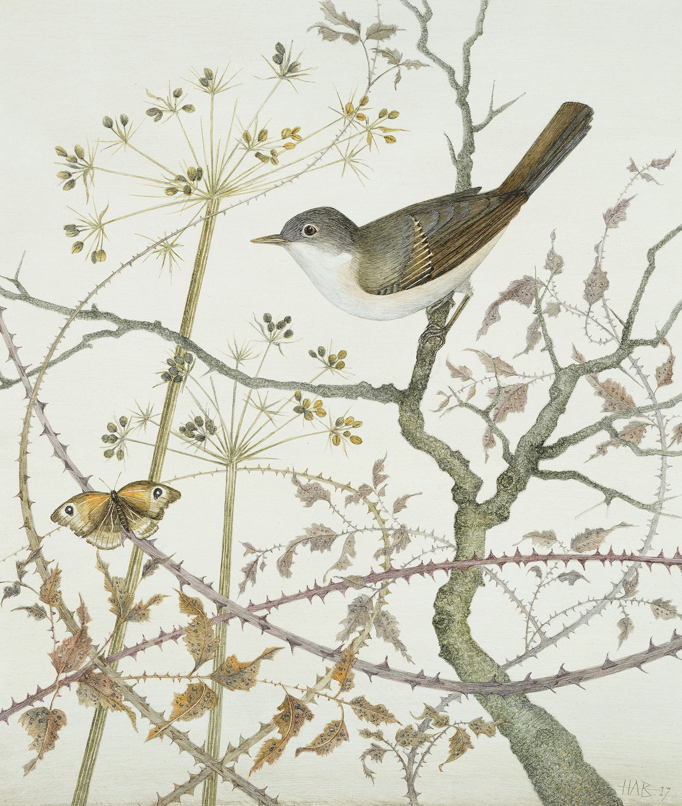 Harriet Bane, Whitethroat and Meadow Brown