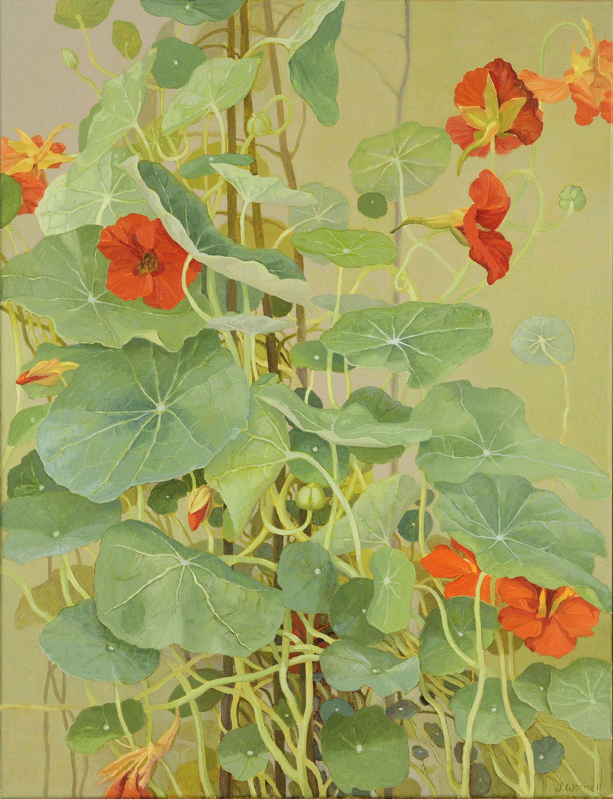 Jane Wormell, Nasturtiums, 2020