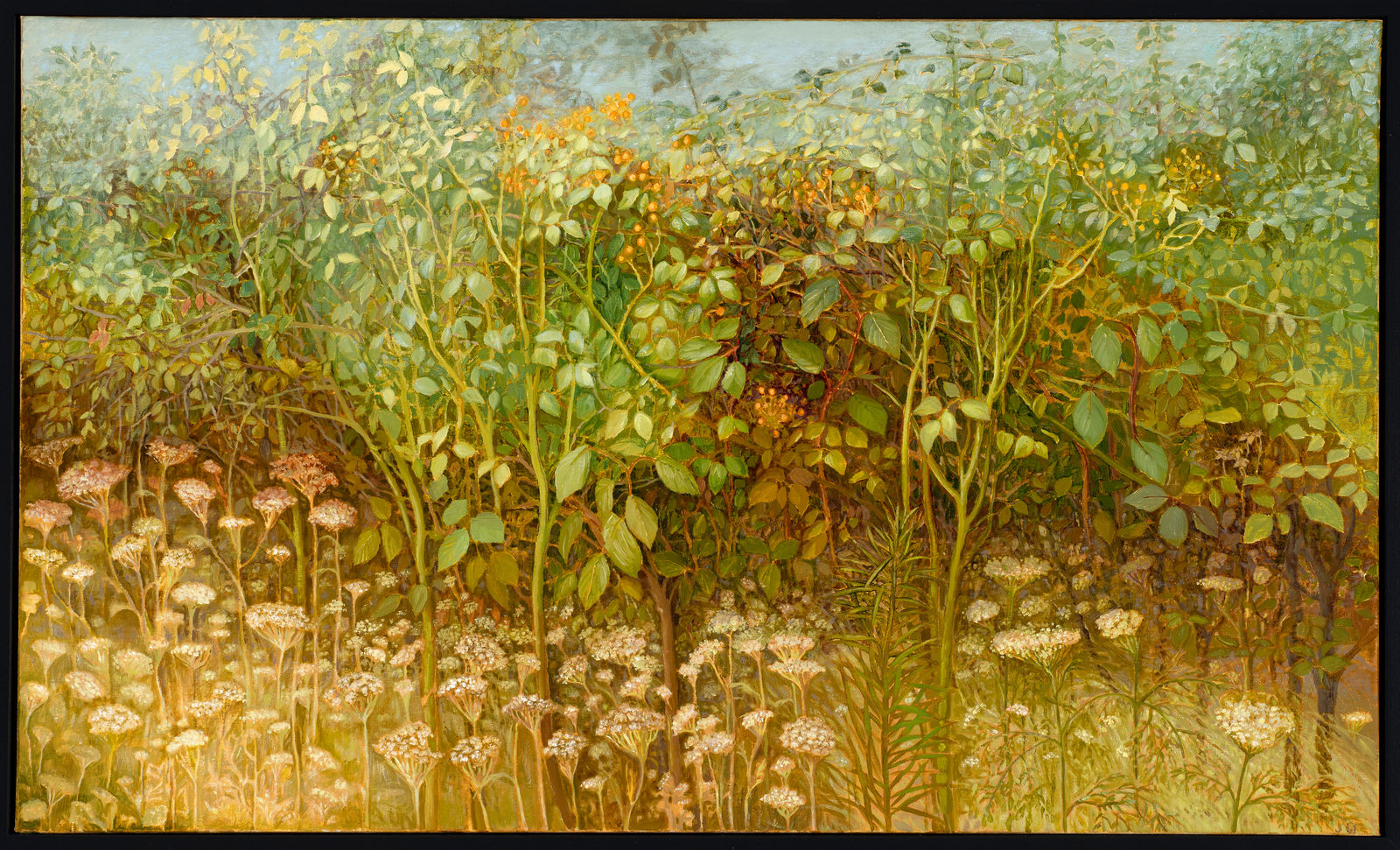 Jane Wormell, Autumn Rose Hedge