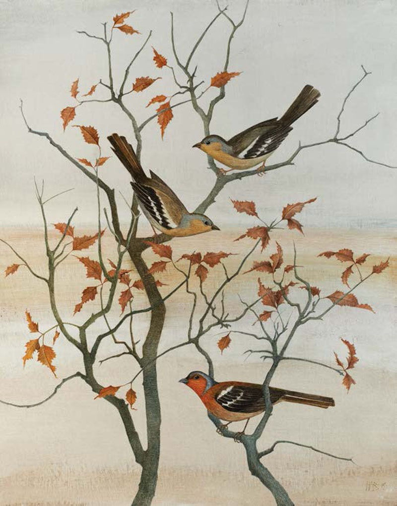 Harriet Bane, Chaffinches