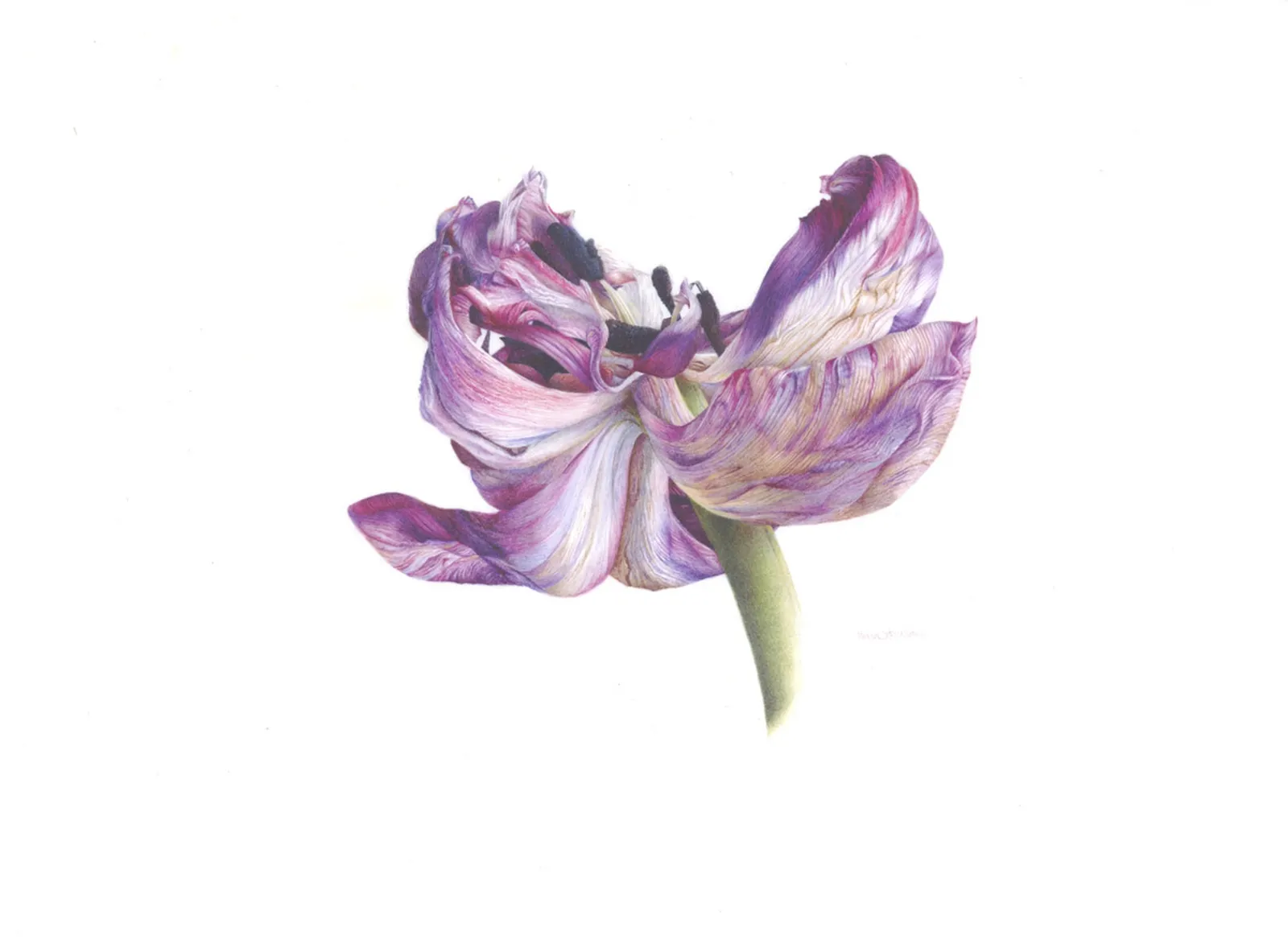 Fiona Strickland, Almost Over