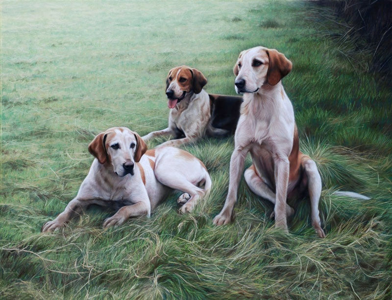 Gary Stinton, Duke of Beaufort's Foxhounds