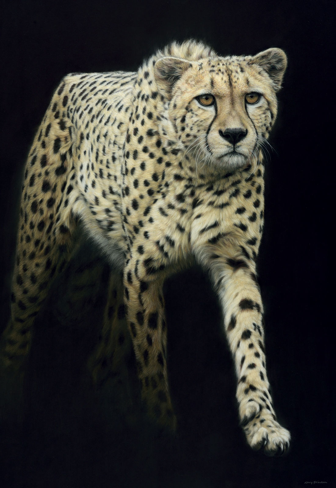 Gary Stinton, Cheetah - Large as Life IX