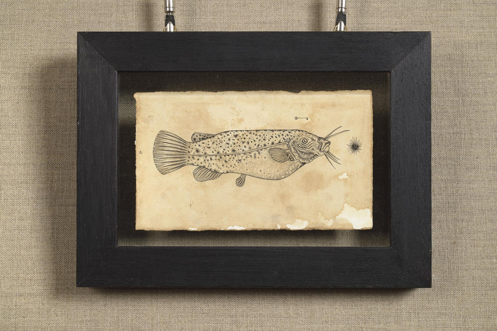 Andrea Collesano, Electrica, 2018