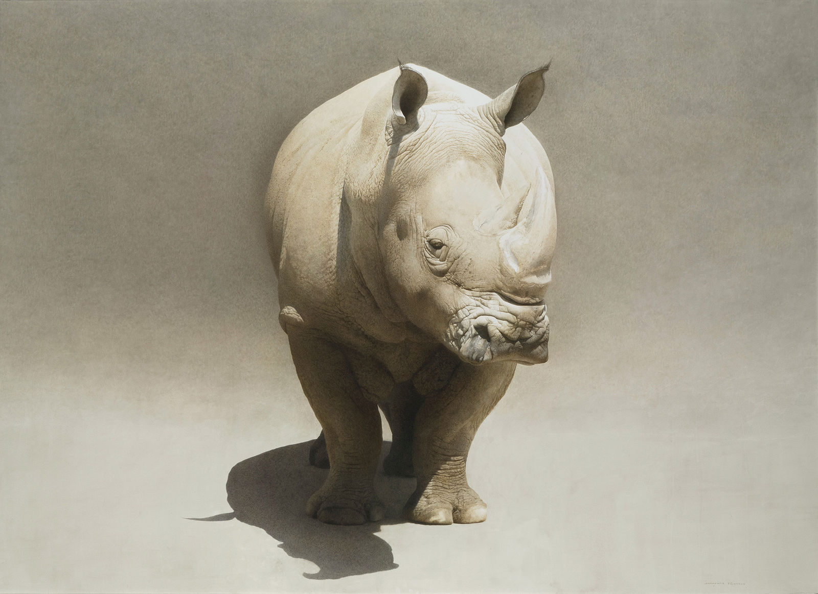 Marzio Tamer, Rhino