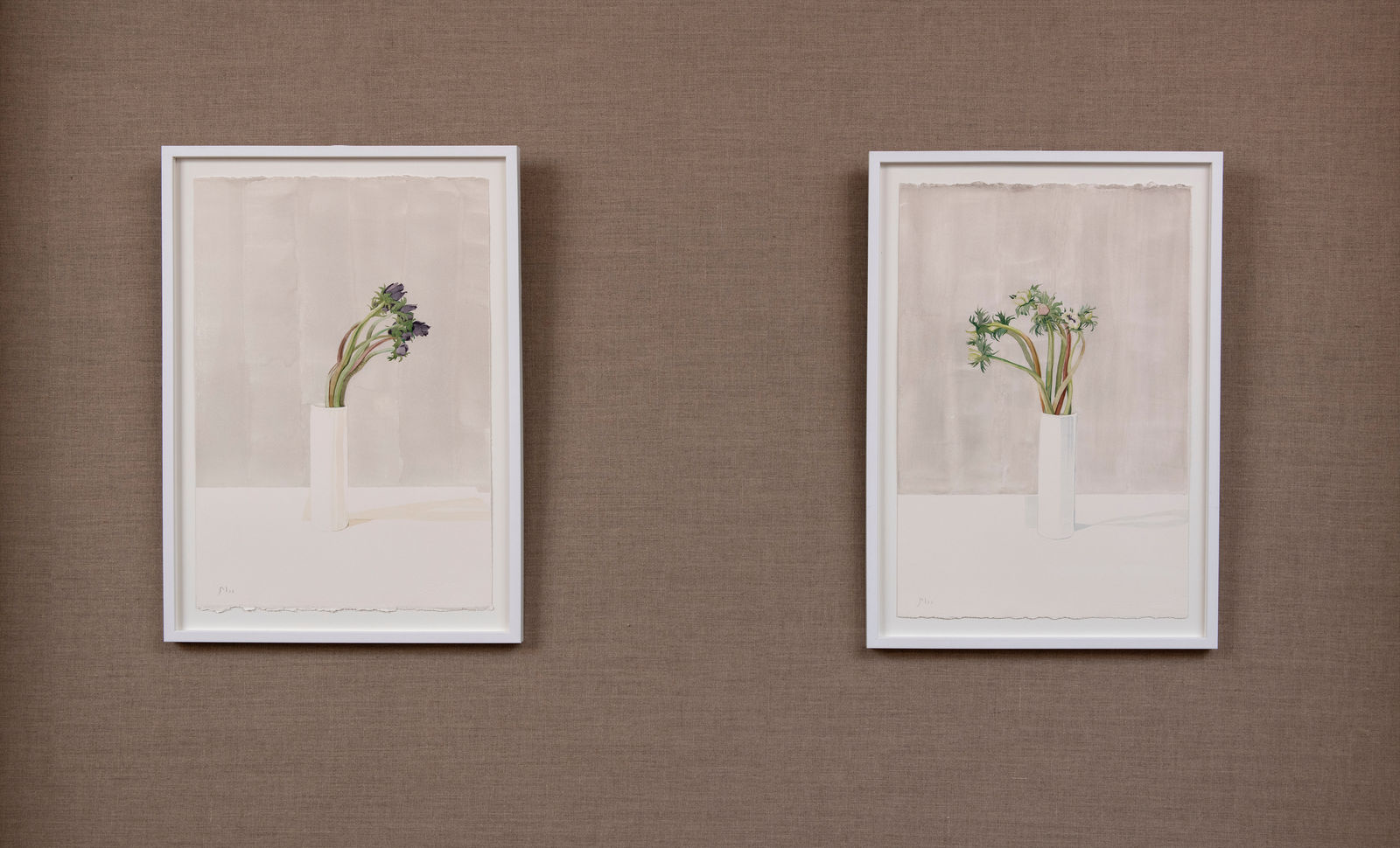 Janet Marsh, Anemone III, 2022