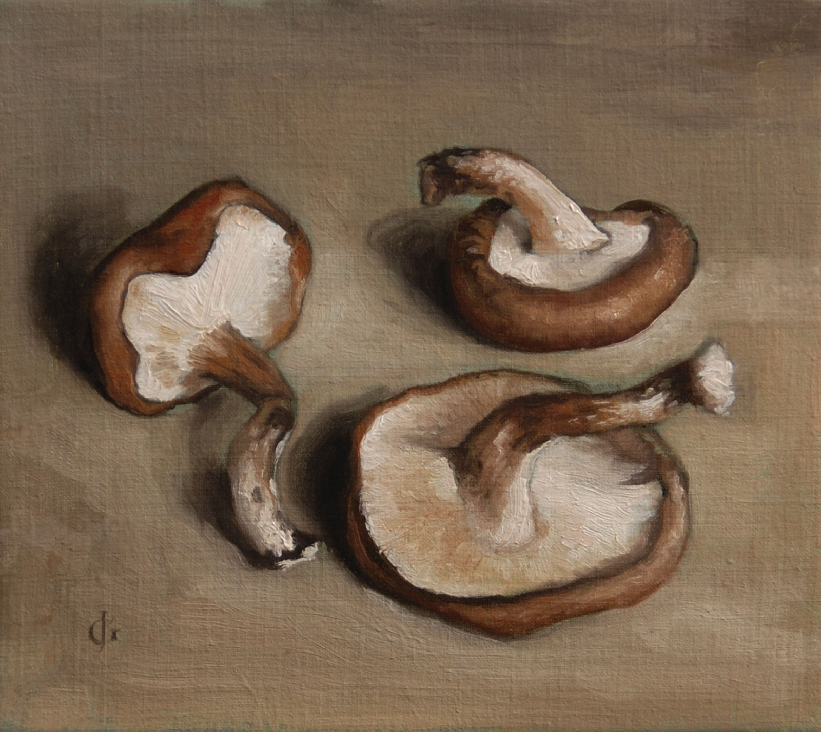 James Gillick, Three Shiitake Mushrooms, 1998