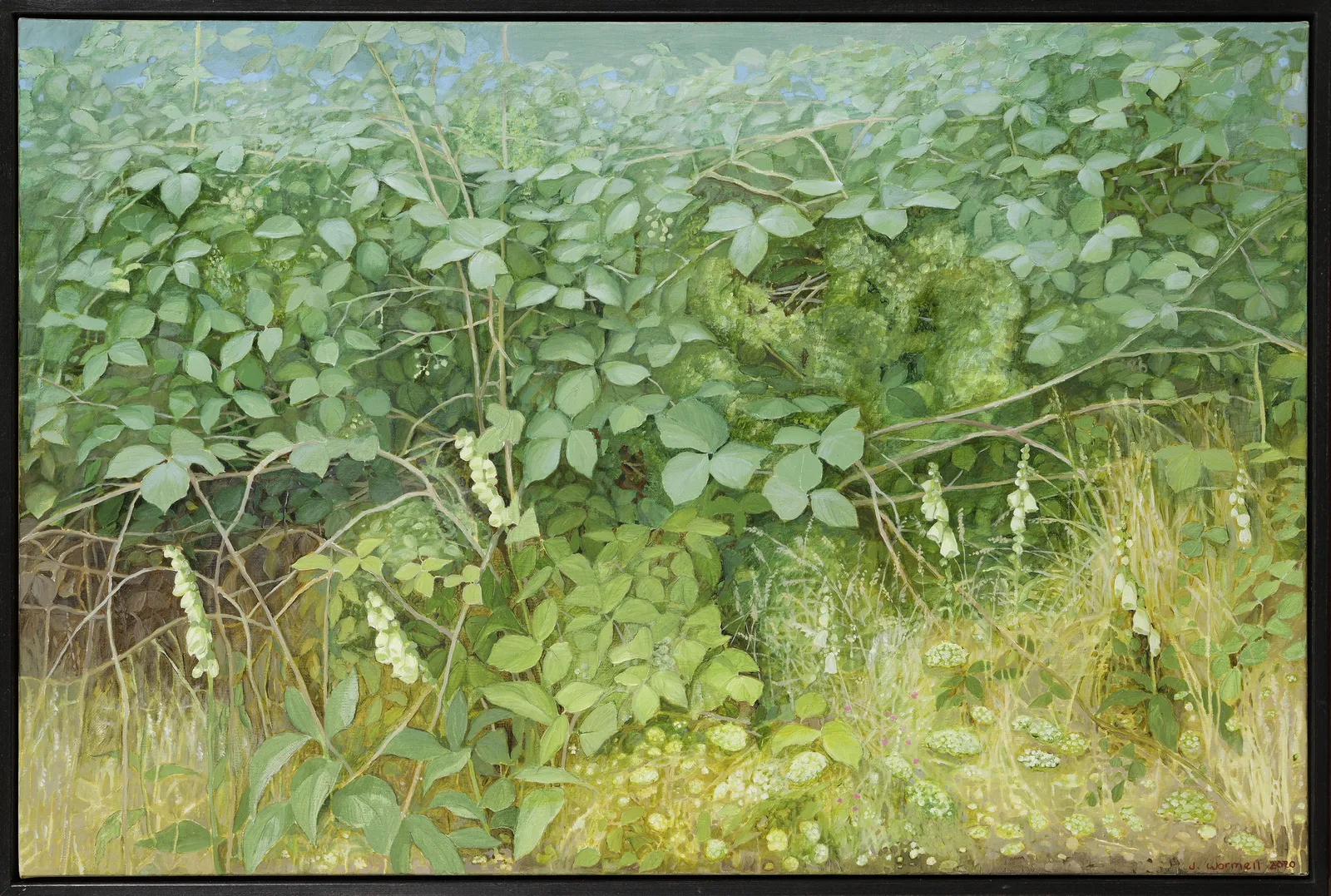 Jane Wormell, Foxgloves Under The Hedge 2, 2020