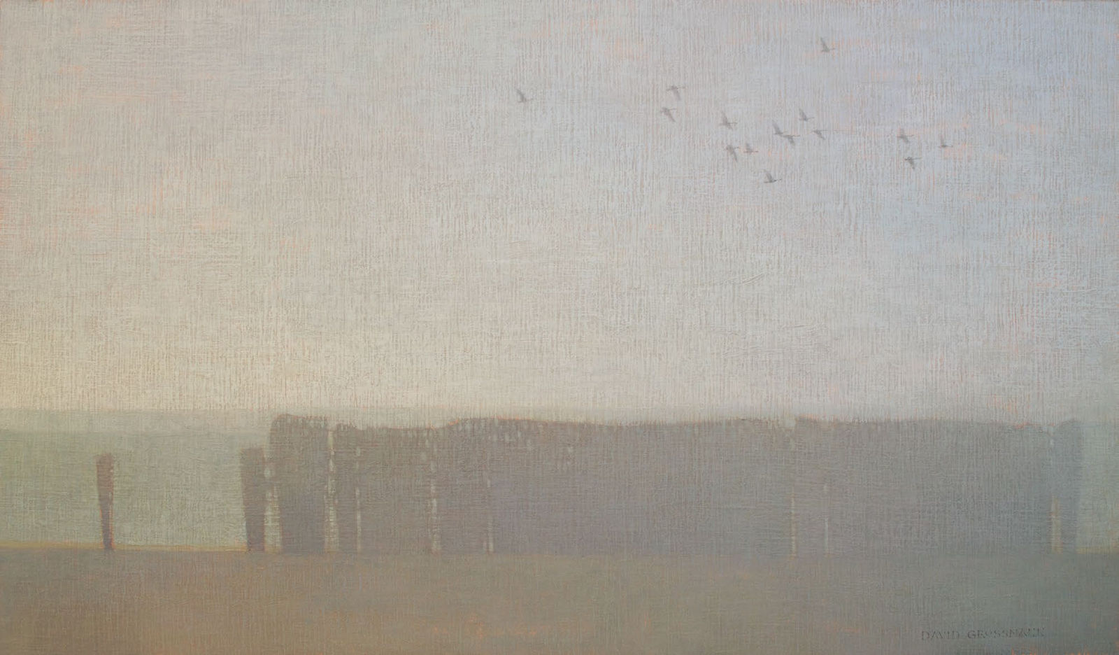 David Grossmann, Grey Morning Flight
