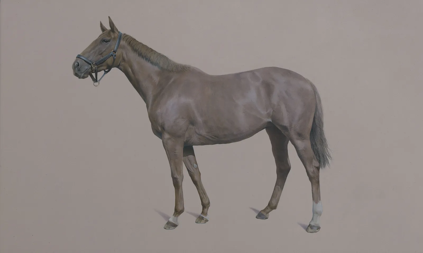 Joseph Black, Autumn Horizon II, 2020