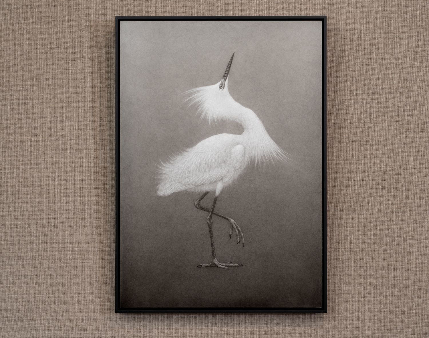 Lee Andre, Snowy Egret VII, 2024