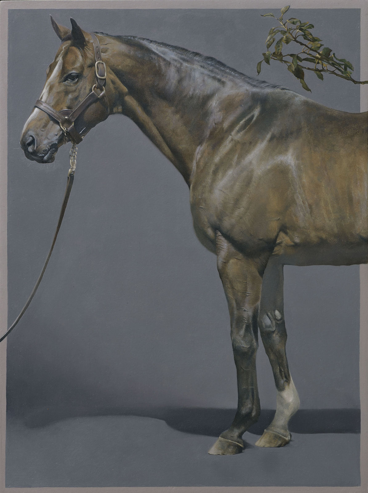 Joseph Black, Company, 2020