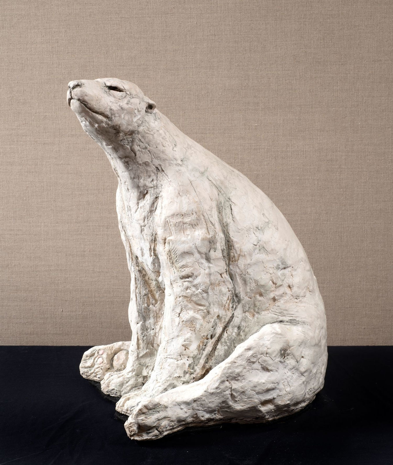 Tanya Brett, Polar Bear 1, 2024