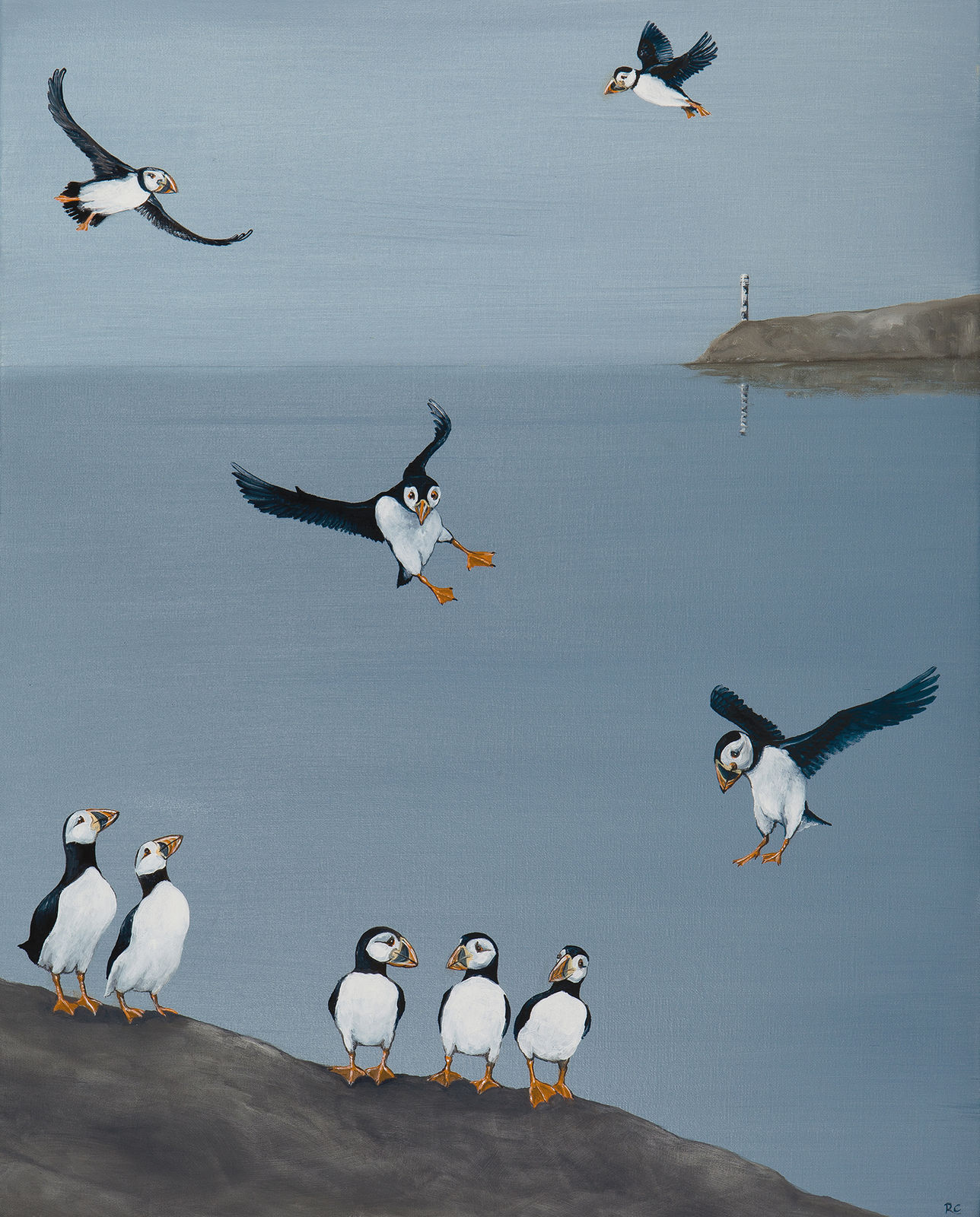 Rebecca Campbell, A Circus of Puffins