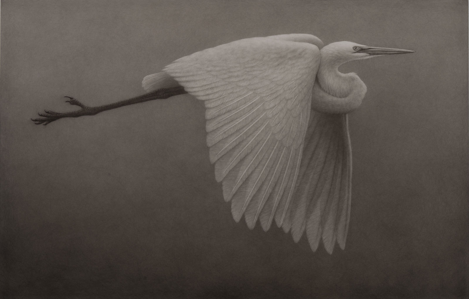 Lee Andre, Great Egret II, 2023