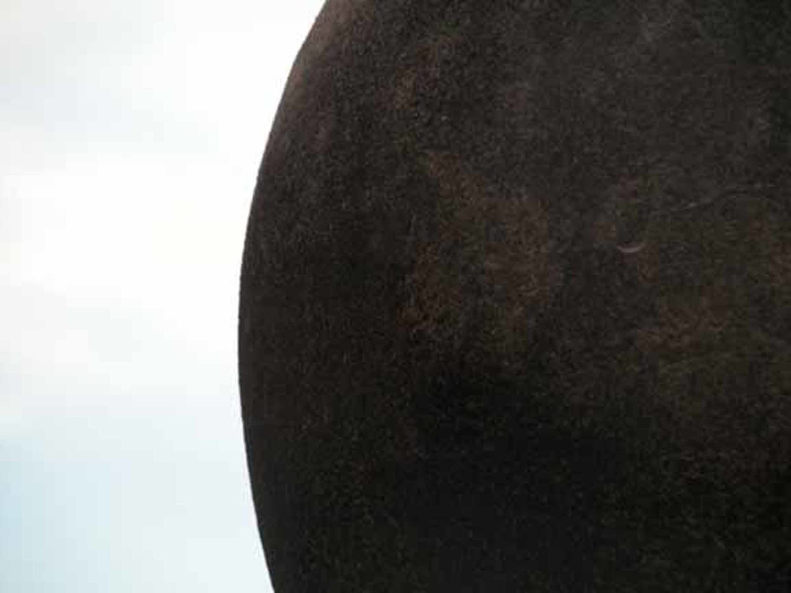 Joseph La Piana, Sphere III (ADP/ 894), 2005