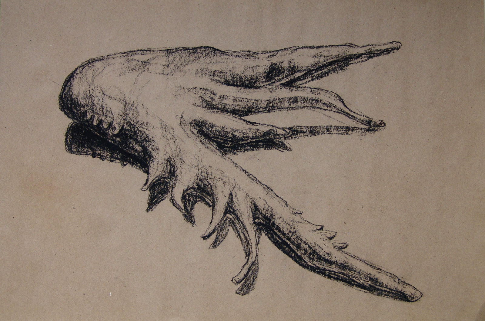 Joseph La Piana, Photonastic Drawing III, 2013