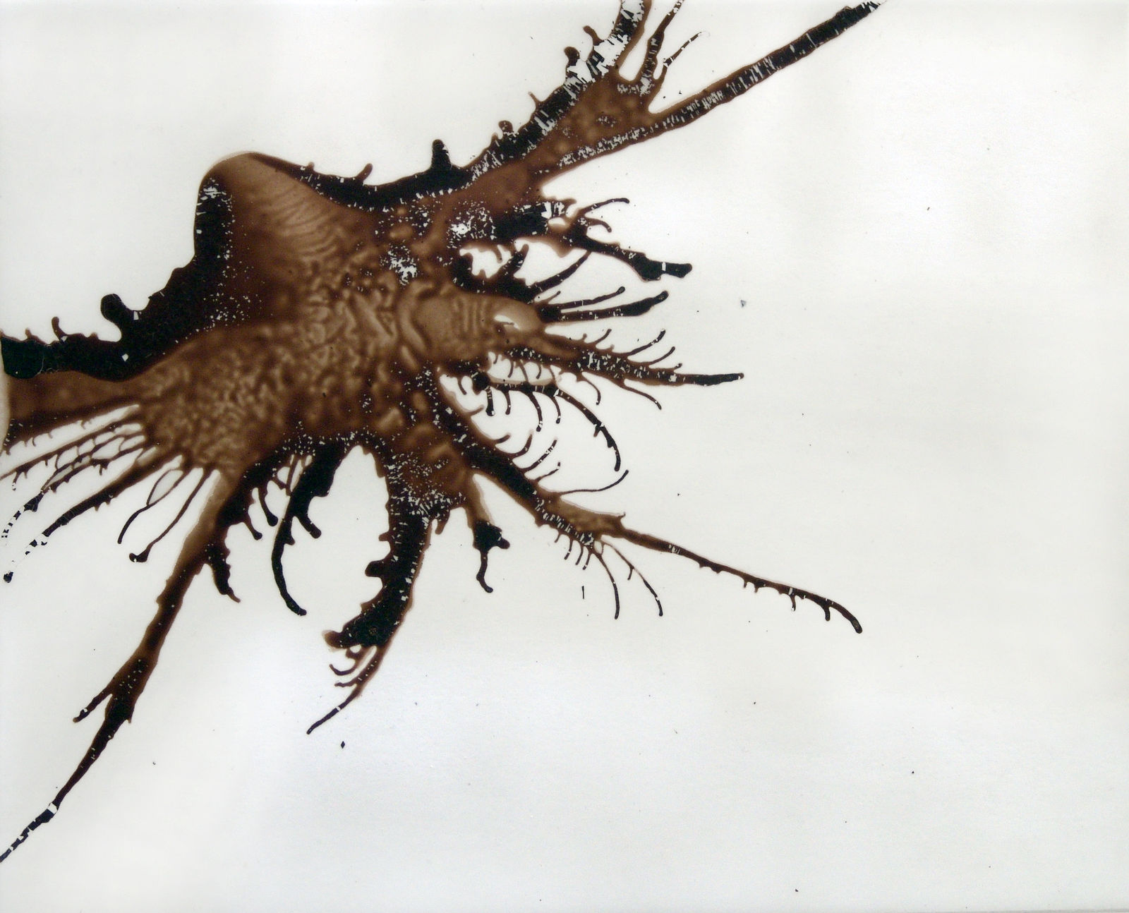 Joseph La Piana, Untitled XXVI, 2004