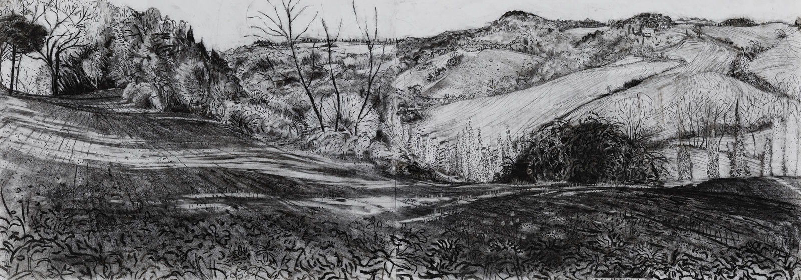 Rosie MacCurrach, Brambles