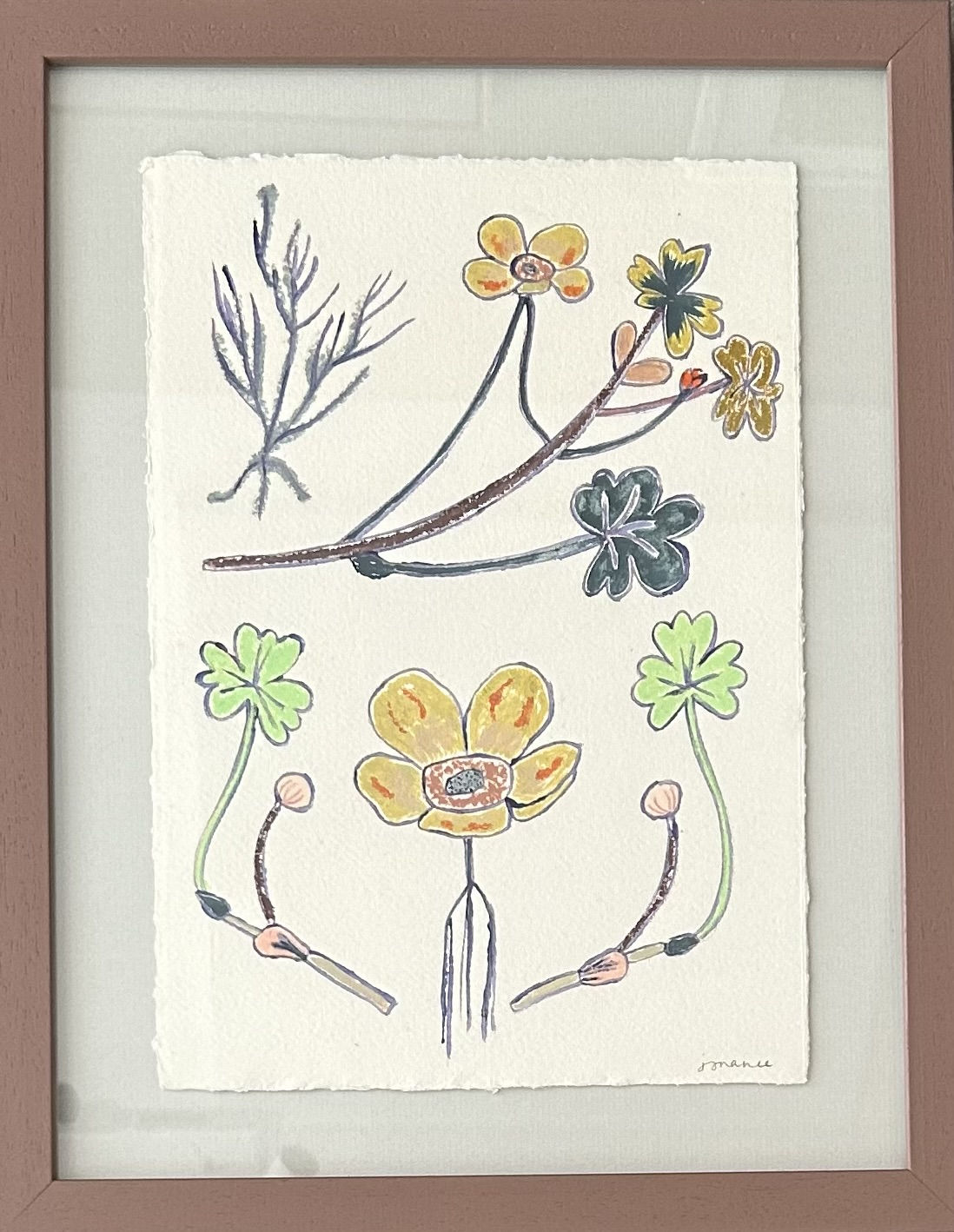 Jo Rance, Orchestra of Florals VII