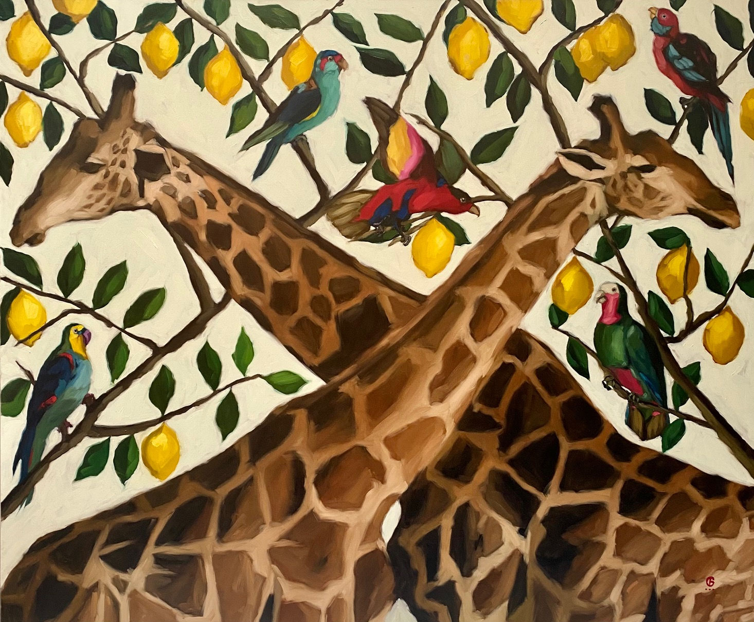 Georgia Fiennes, Limone