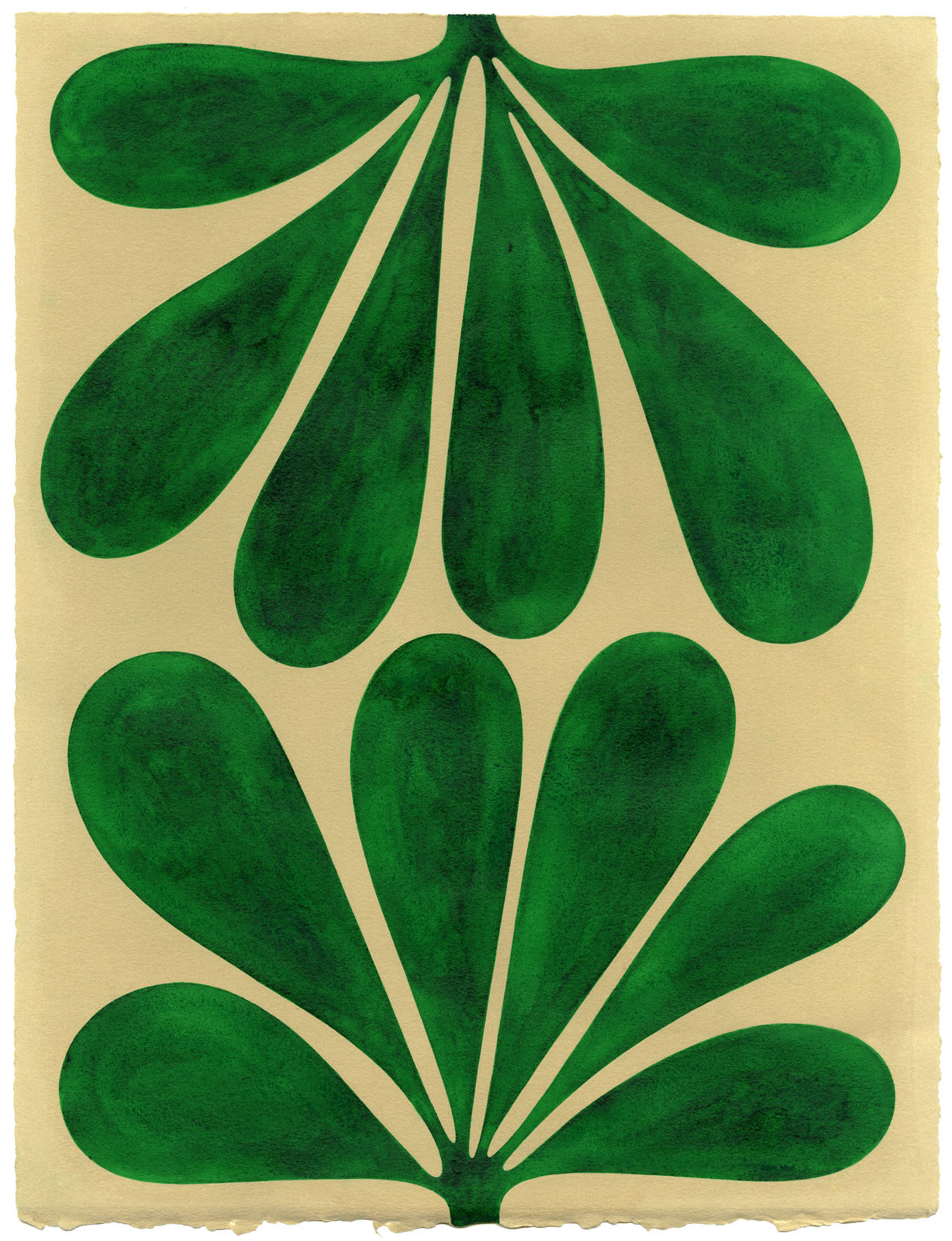 Henrietta Molinaro, Leaf Study 35