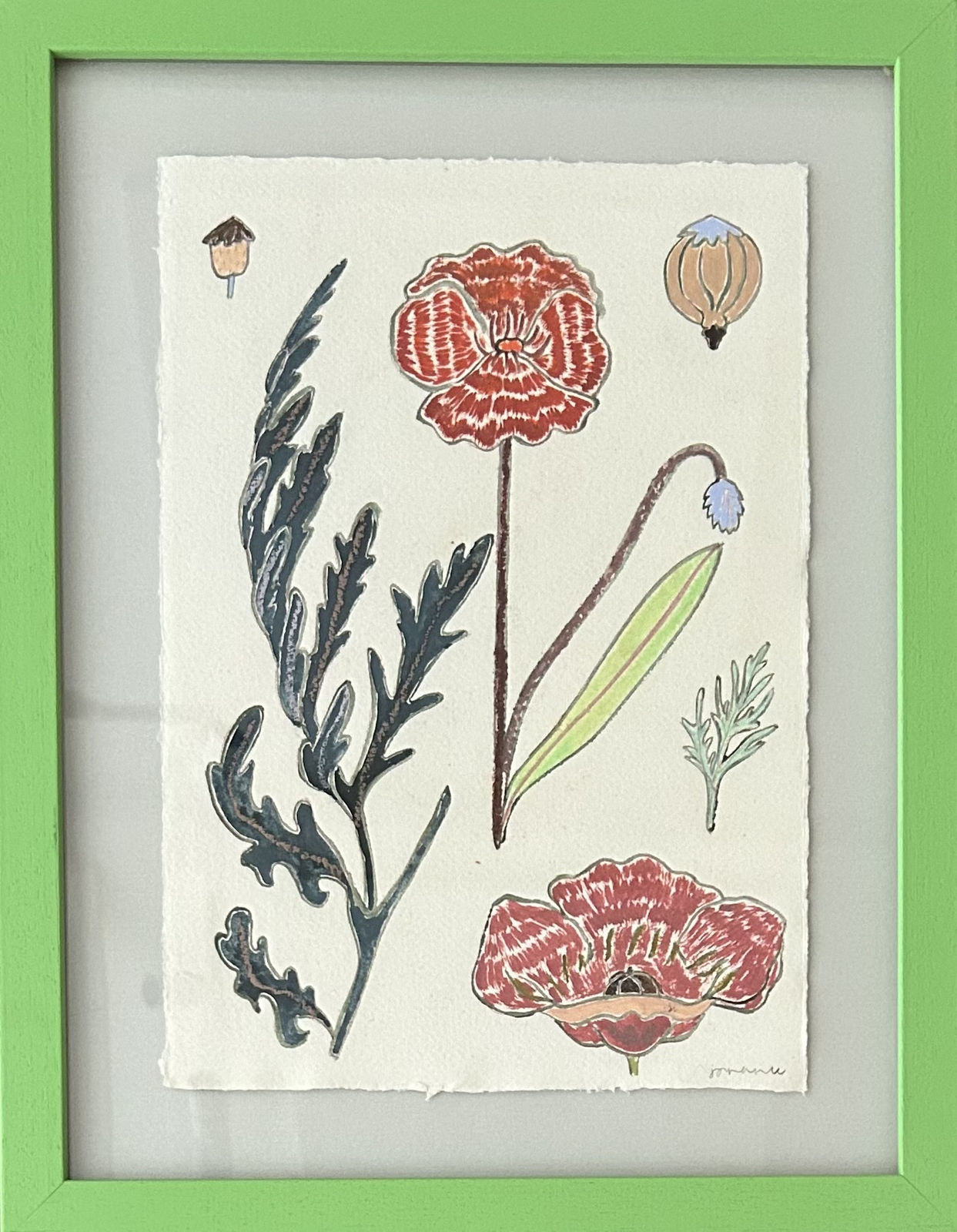 Jo Rance, Orchestra of Florals VI