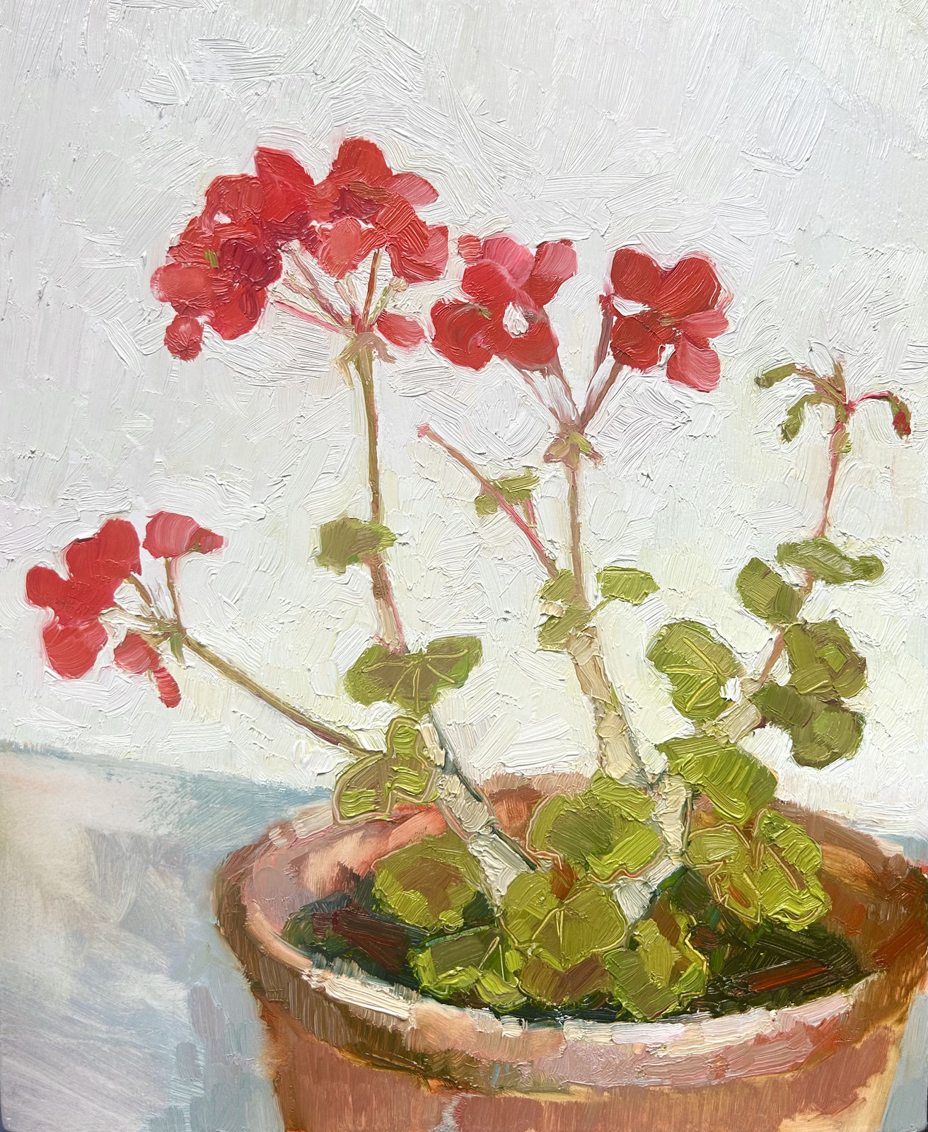 Nicola Stratton Tyler, Red Pelargonium and Old Terracotta Pot
