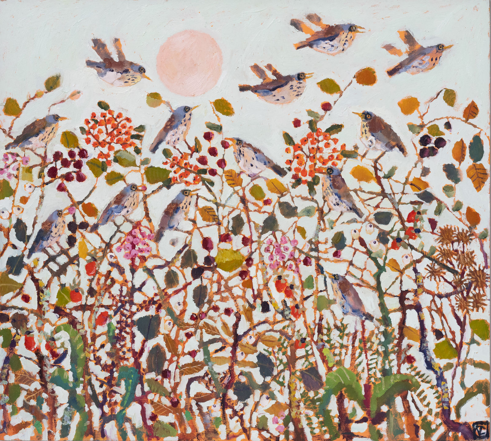 Vanessa Cooper, Wild Fares