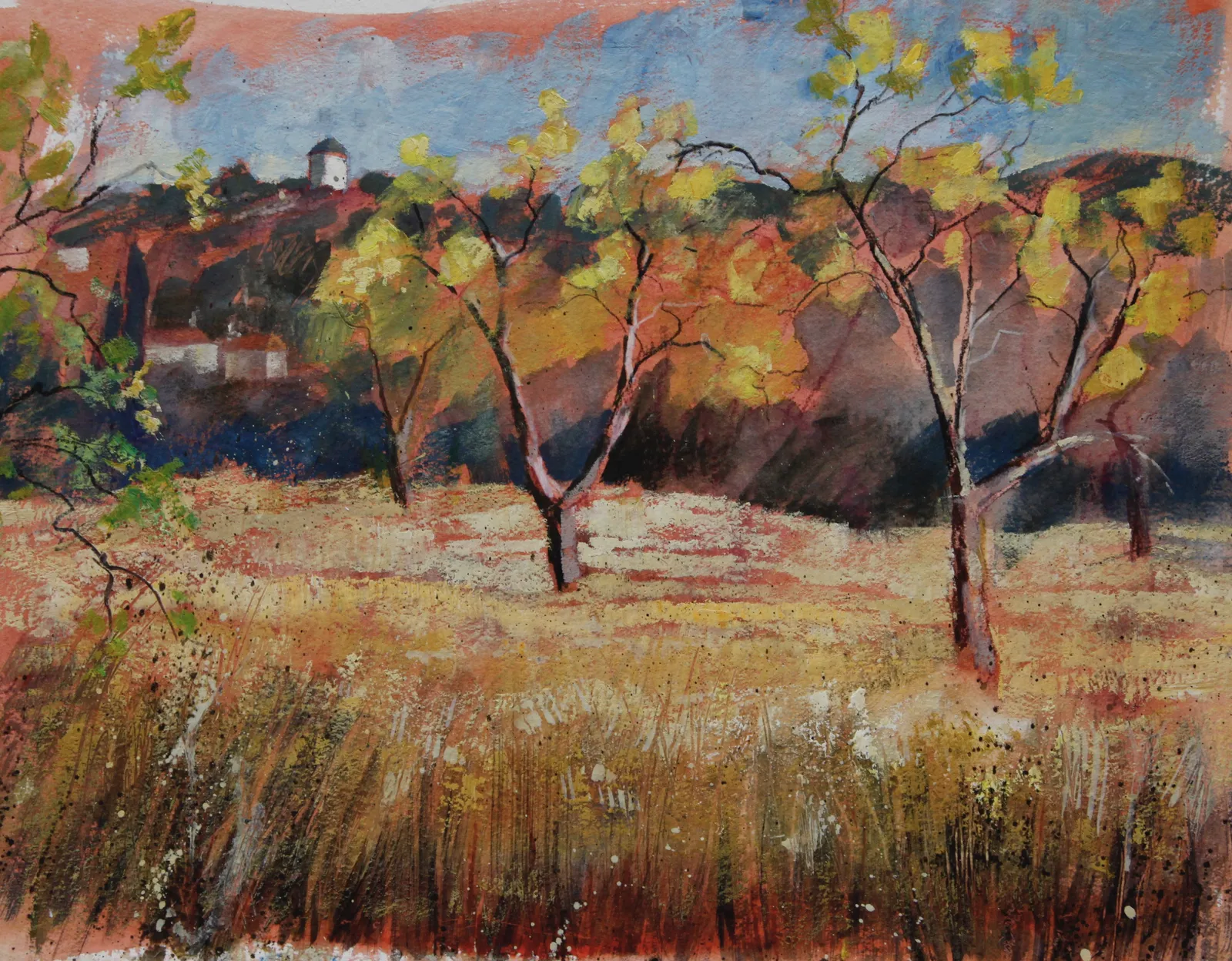 Francesca Shakespeare, Almond Grove