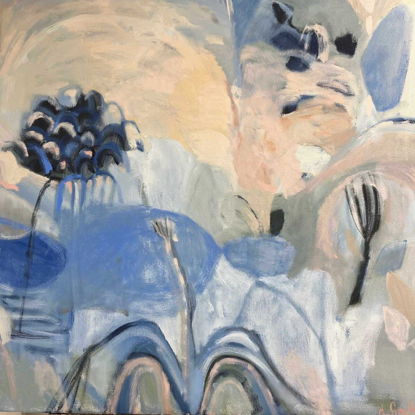 Dana Finch, Travelling Seeds