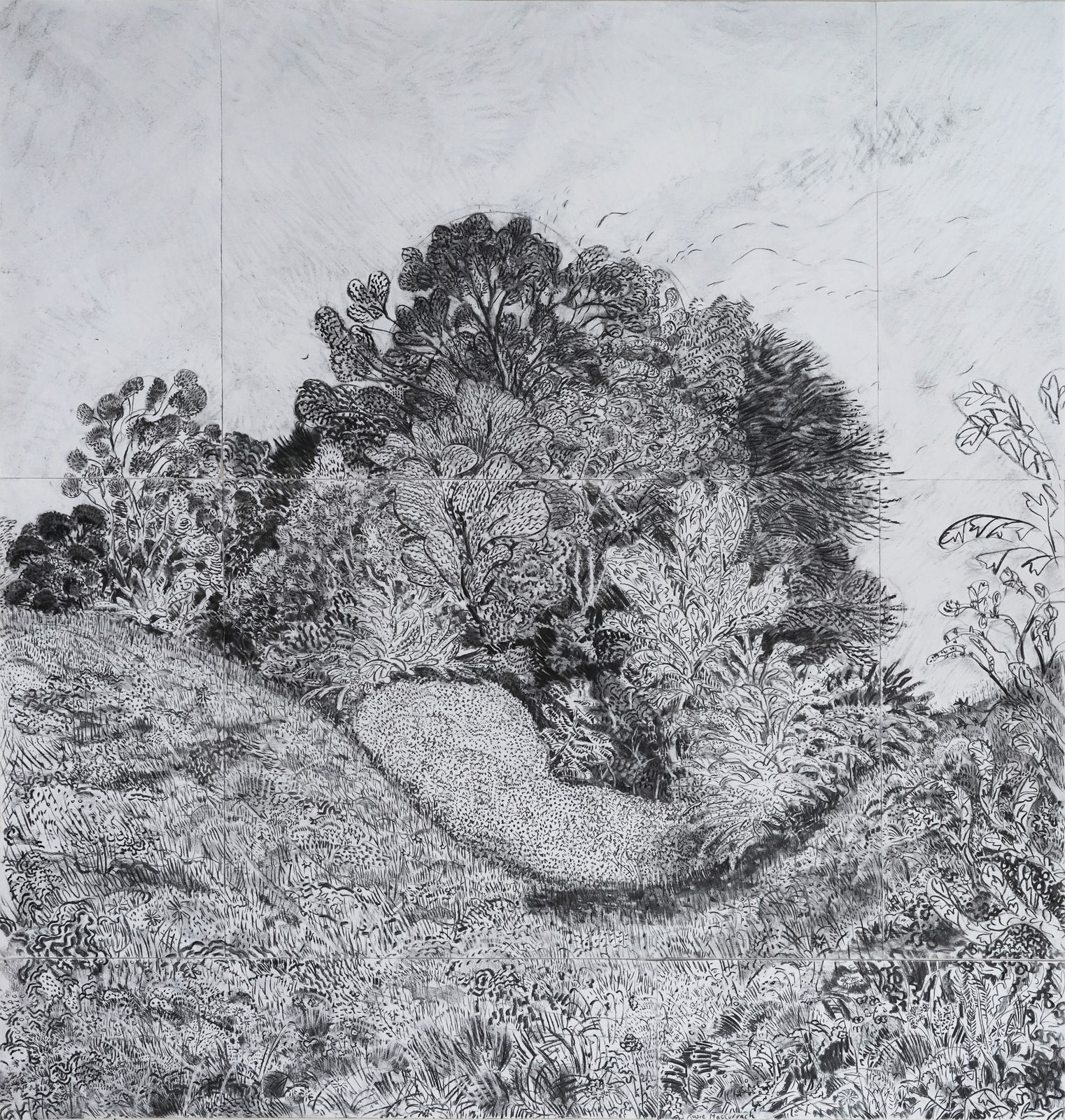 Rosie MacCurrach, Grounded