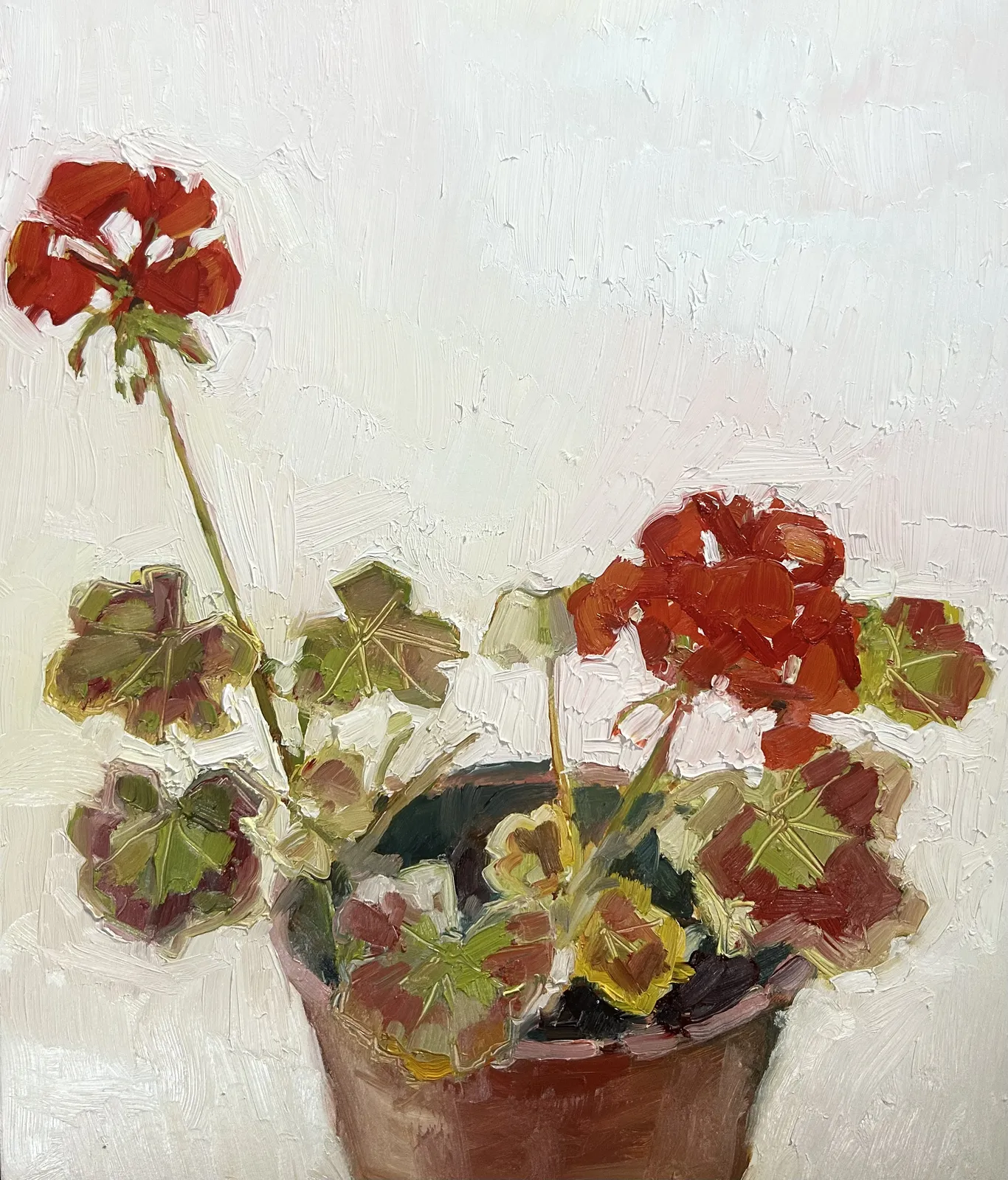 Nicola Stratton Tyler, Red Pelargonium in a Terracotta Pot II