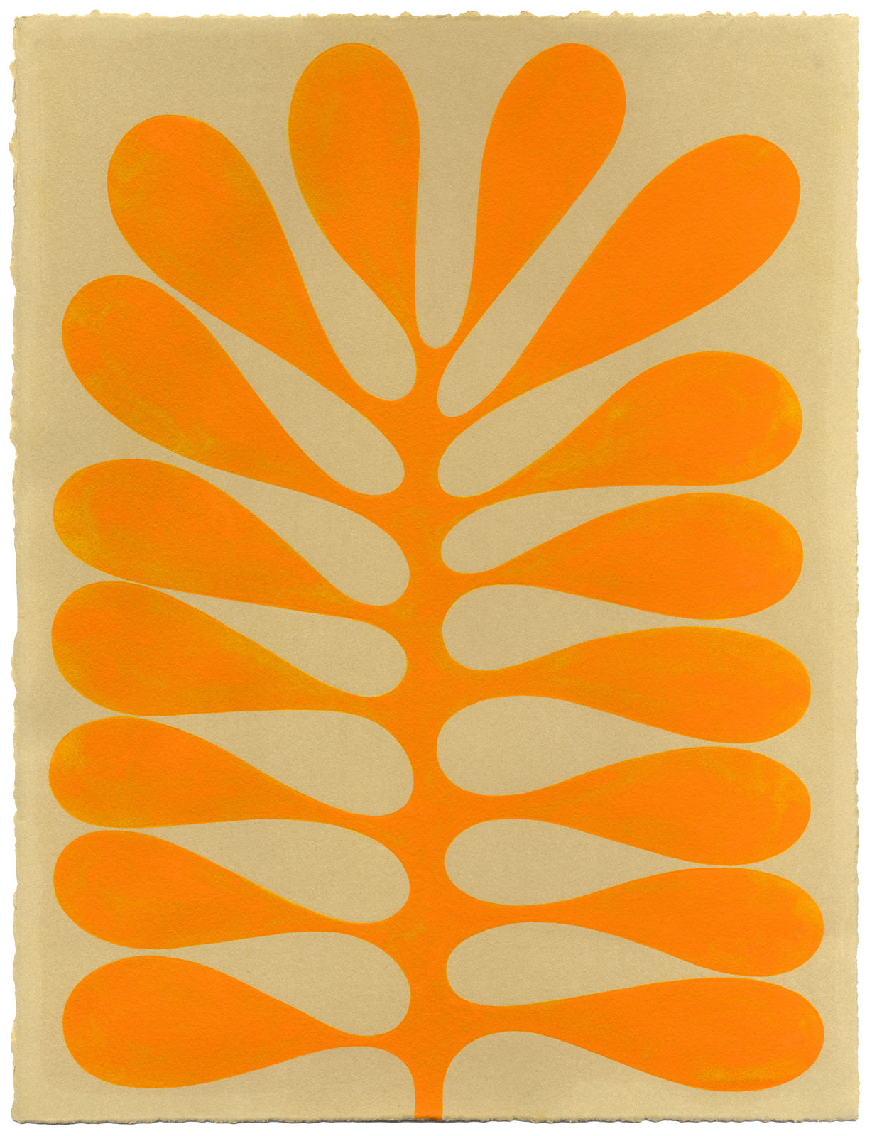 Henrietta Molinaro, Leaf Study 31
