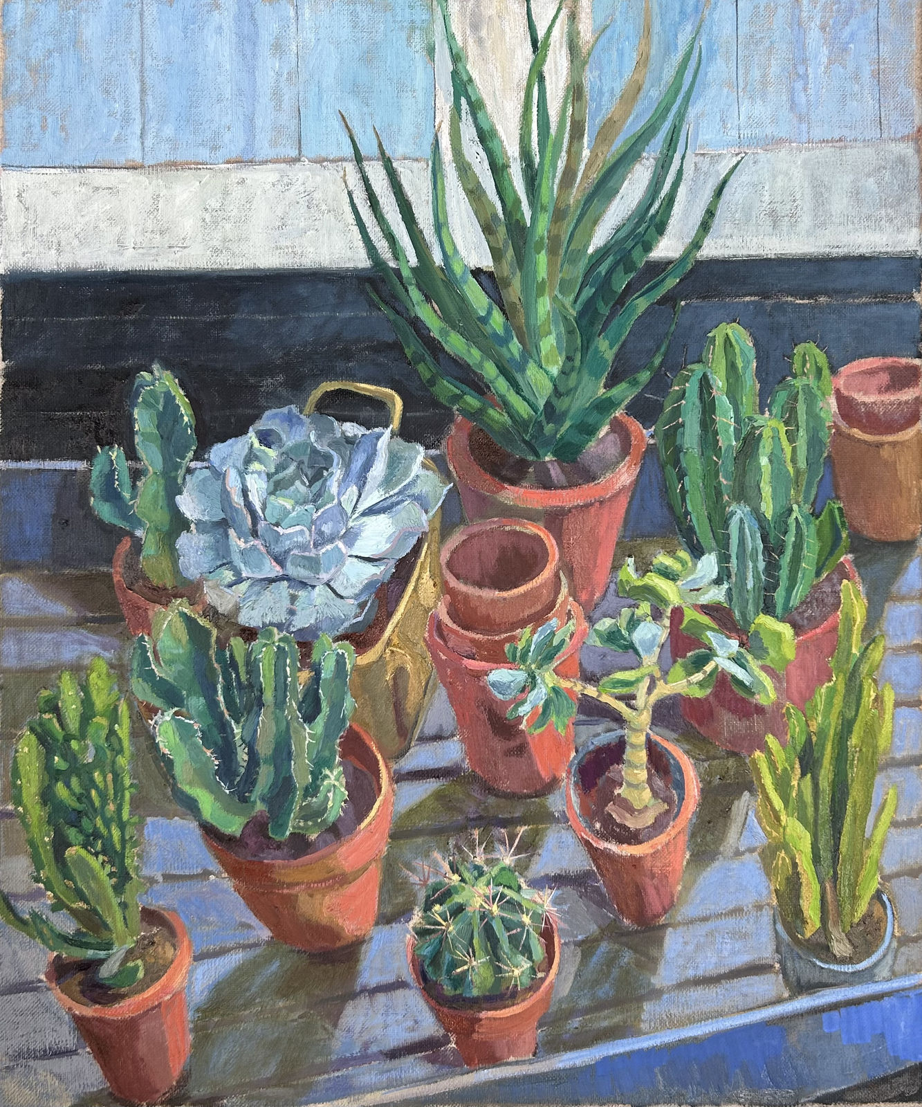 Stella Agnew, Echeveria and Friends