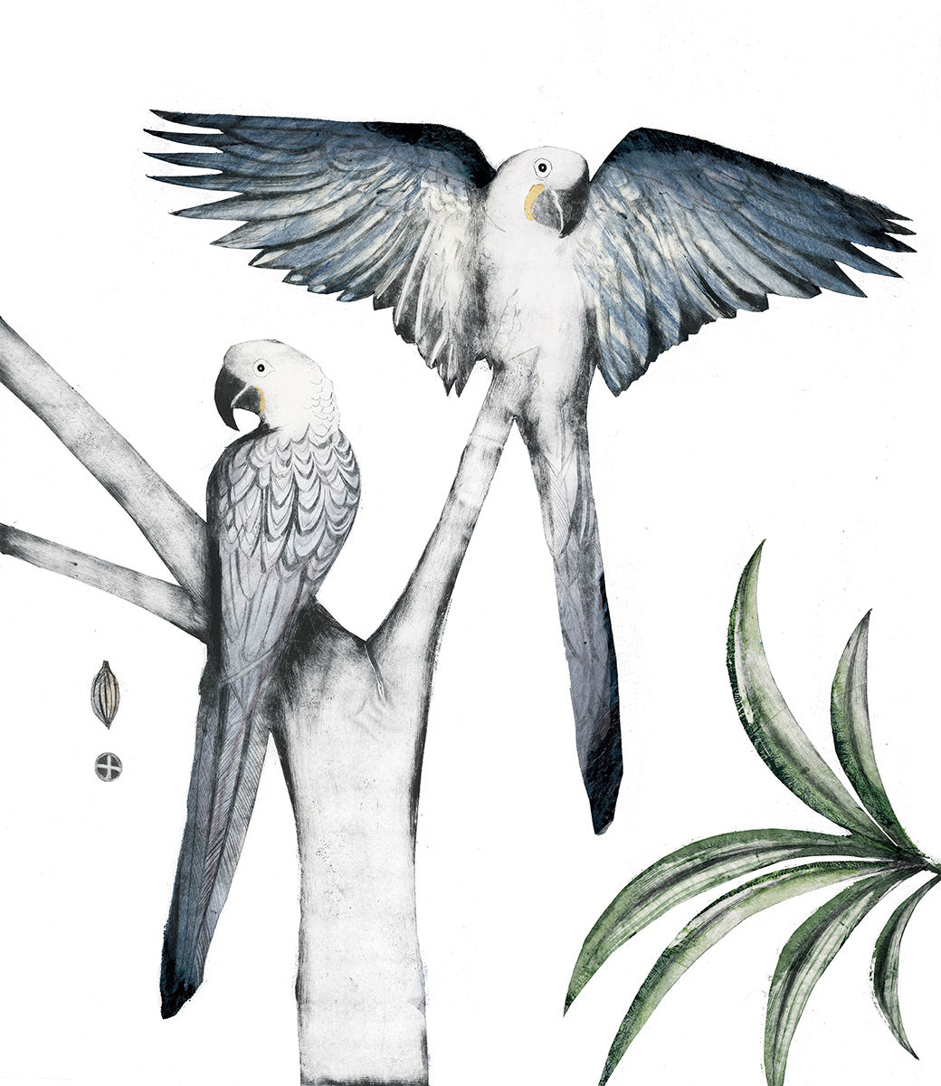 Beatrice Forshall, Hyacinth Macaws