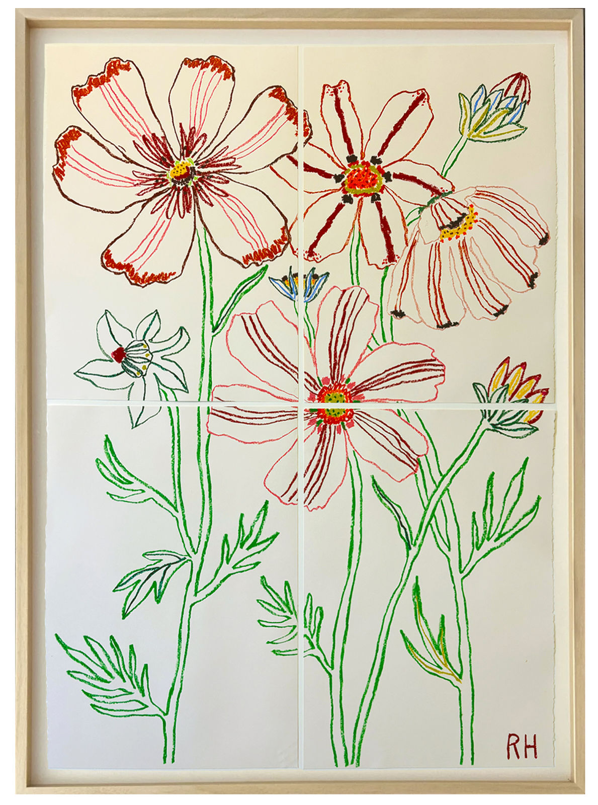 Rosie Harbottle, Cosmos