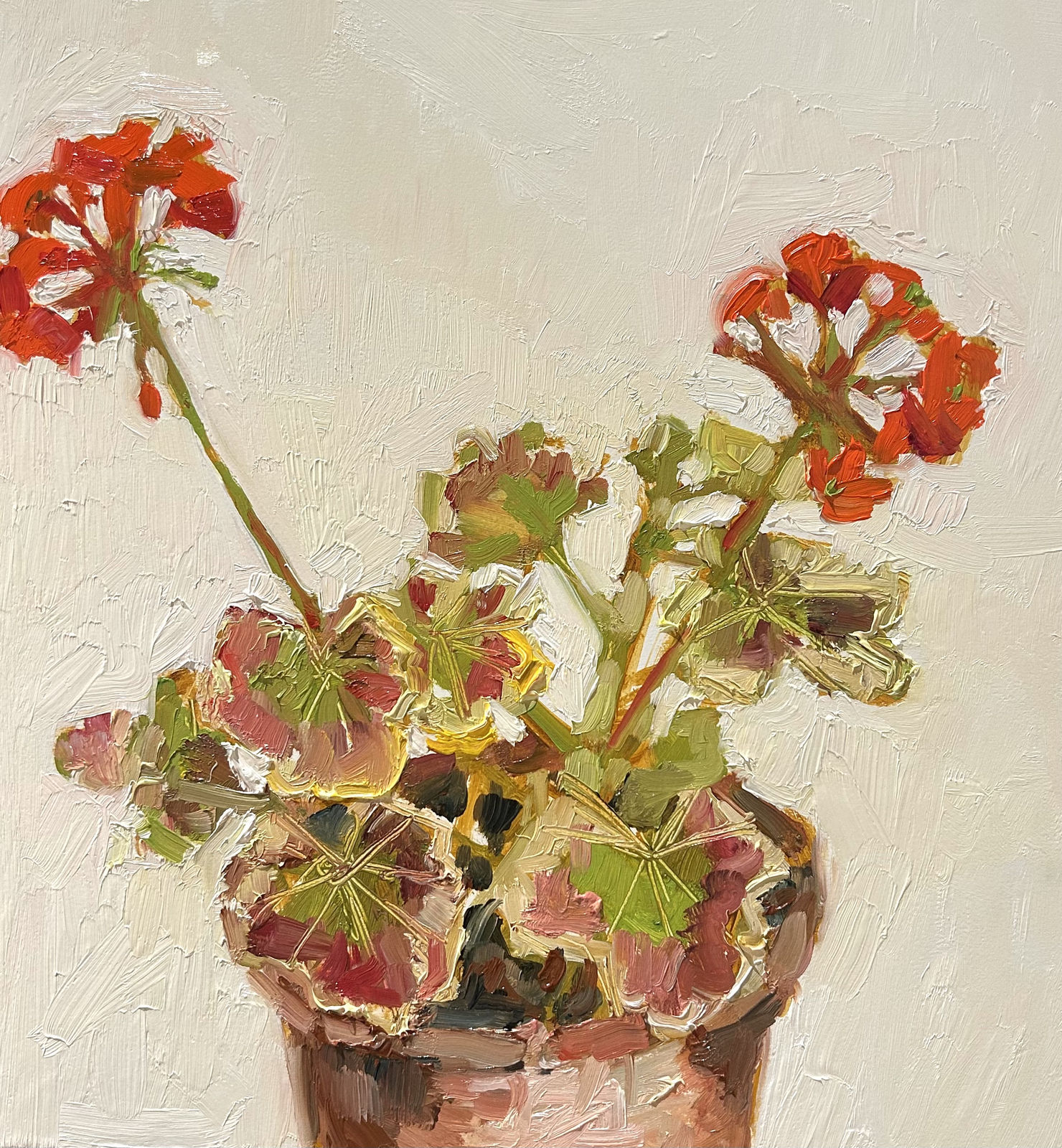 Nicola Stratton Tyler, Red Pelargonium in a Terracotta Pot I